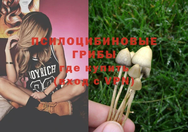 шишки Козловка