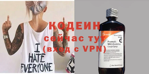 мдпв Кодинск
