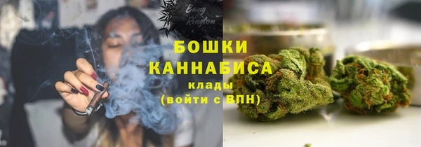 мдпв Кодинск