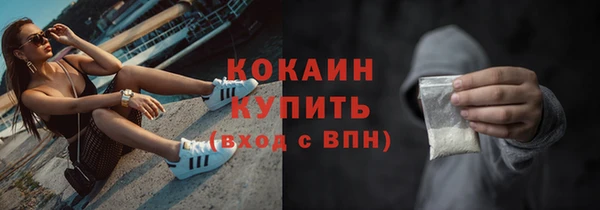 шишки Козловка