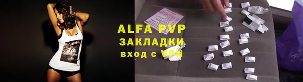 шишки Козловка