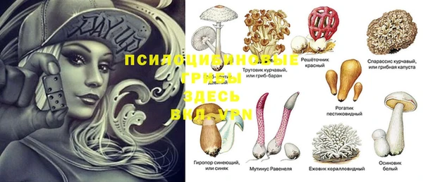 мдпв Кодинск
