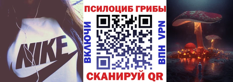 Купить где  Инза  Псилоцибиновые грибы ЛСД 